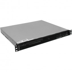 Серверная платформа Asus RS100-E10-PI2