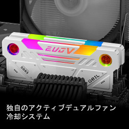 Оперативная память с RGB подсветкой 32GB Kit (2x16GB) GEIL EVO V RGB 6400Mhz DDR5 PC5-51200 38-40-40-82 GESW532GB6400C38ADC White