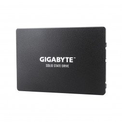 Твердотельный накопитель внутренний Gigabyte GSTFS31480GNTD