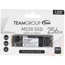 Твердотельный накопитель 256GB SSD TeamGroup MS30 M.2 2280 R500Mb/s W400MB/s TM8PS7256G0C101