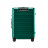 Чемодан NINETYGO Rhine PRO Plus Luggage 20&quot; Зеленый
