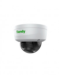 Tiandy 2Мп уличная купольная IP-камера 2,8мм 512Гб слот SD, audio I/O 1/1, alarm I/O 1/1