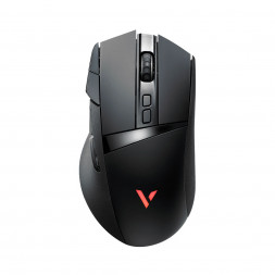 Компьютерная мышь Rapoo VT350S