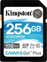 Карта памяти Kingston SDG3/256GB SD 256GB